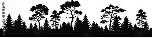 Forest tree silhouette landscape panorama showing pine trees woodland nature horizon isolated on white background illustration for adobe stock design