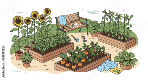 Peaceful backyard vegetable garden with raised planter beds, blooming sunflowers, gardening tools, and a cat sleeping on a wooden bench.