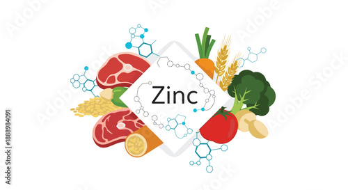 Infographic showing various food sources rich in zinc including meat grains vegetables and chemical molecular structures design.