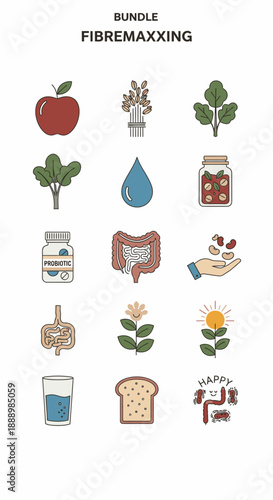 Healthy Food and Drinks for Fibre Intake.