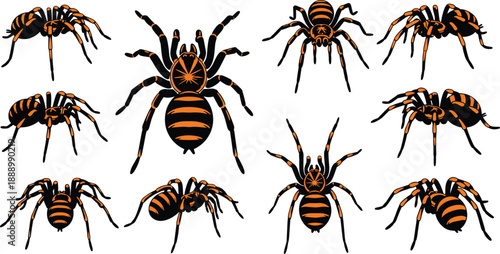 Set of 10 stylized black spiders with orange markings in varied poses for Halloween, entomology, and vector illustration themes.