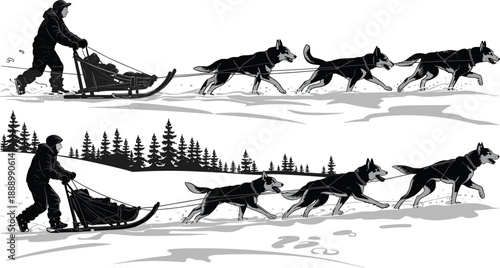 Detailed of a person driving a dog sled team through a snowy landscape with trees and footprints sled dogs