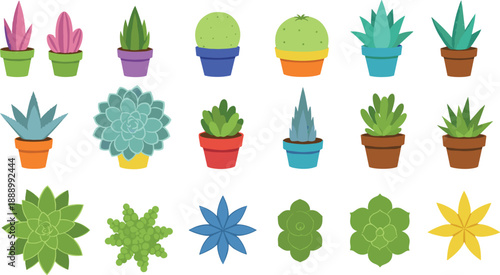 Succulent and cactus plants collection in colorful pots flat botanical vector illustration set