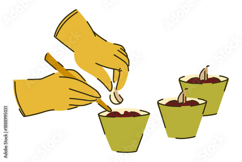 Hands in yellow garden gloves loosen the soil in green pots and plant garlic, gardening on a windowsill, spring planting of seeds