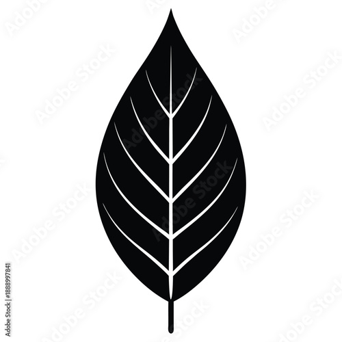 dried leaf vector icon on white background