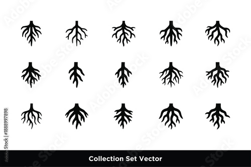 Tree Root Icon Set Vector, Underground Growth and Nature Strength Symbols
