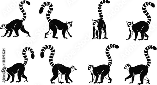Set of ring-tailed lemur silhouettes and illustrations, exotic Madagascar wildlife collection, primate animal icons, safari nature graphics, tropical zoo character vectors.