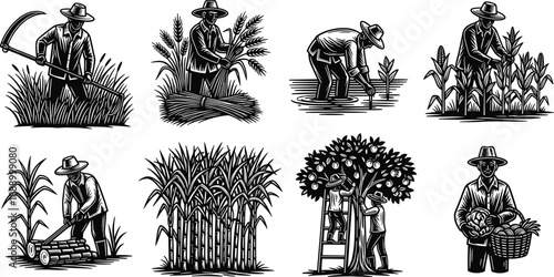 Set of woodcut style vector illustrations depicting farmers harvesting crops, planting rice, and picking fruit in black and white.
