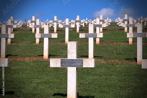 Cemetery with crosses in France