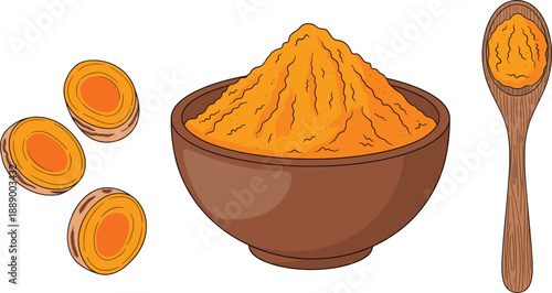 Turmeric powder in bowl with wooden spoon and roots natural spice vector illustration
