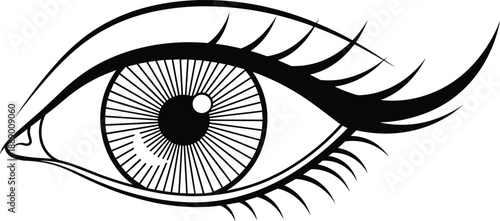 Detailed human eye illustration with long eyelashes black line art isolated vector beauty vision logo symbol design
