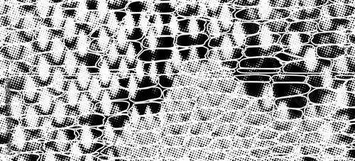 Snakeskin pattern imitation. Lines and spots structural texture. Cool and artsy faux leather background. Abstract vector illustration. Black isolated on white. EPS10