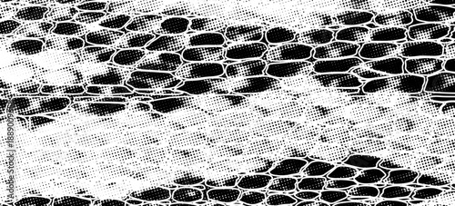 Snakeskin pattern imitation. Lines and spots structural texture. Cool and artsy faux leather background. Abstract vector illustration. Black isolated on white. EPS10