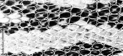 Snakeskin pattern imitation. Lines and spots structural texture. Cool and artsy faux leather background. Abstract vector illustration. Black isolated on white. EPS10