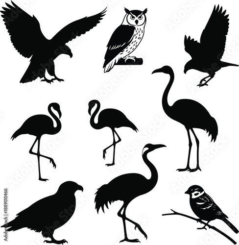 A vector illustration of abstract black animal icons featuring various bird silhouettes on a white background. Perfect for graphic resources, icons, and educational materials.
