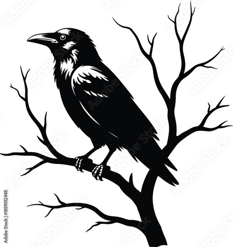 Majestic crow perched on bare tree branch in stark silhouette