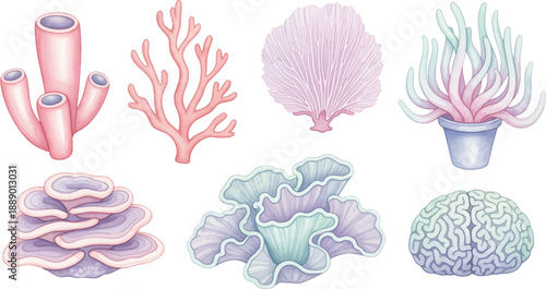 Hand drawn pastel coral reef elements vector set