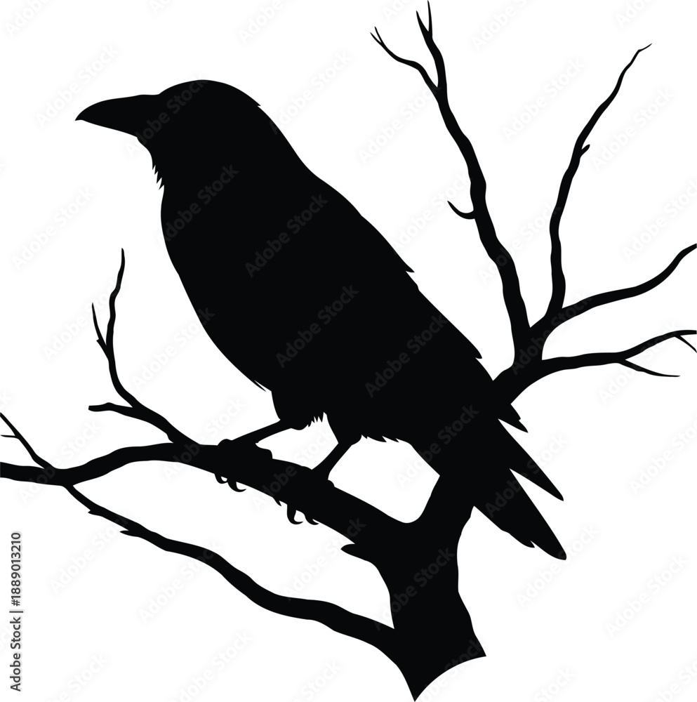 Naklejka premium Majestic black bird perched on bare tree branch silhouette