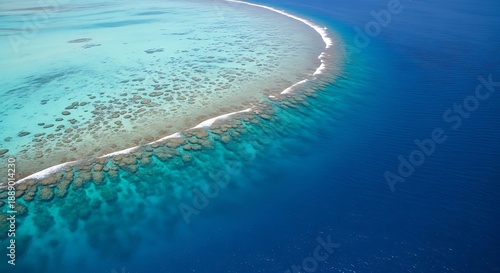 Aerial View of a Stunning Coral Reef in Turquoise Waters.