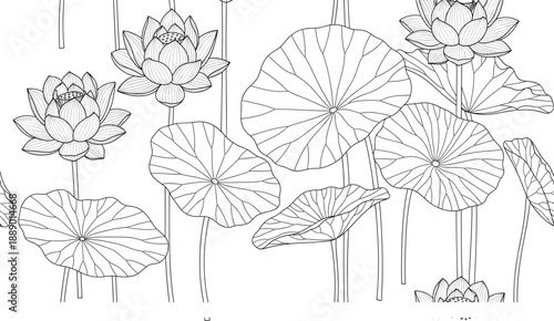 Hand drawn lotus flowers and lily pads line art vector illustration botanical floral nature background design