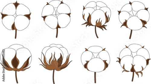 Hand drawn onion and garlic seamless pattern vector illustration vintage vegetable sketch background design