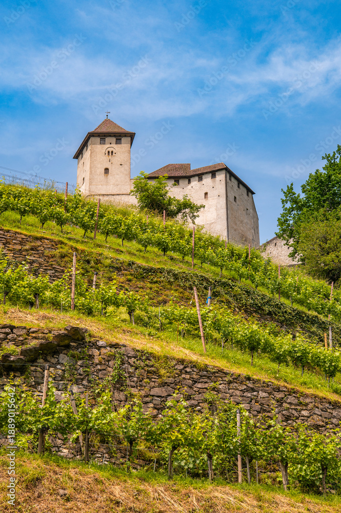 Fototapeta premium Gutenberg Castle Burg Gutenberg located on a hilltop of vineyard, Balzers, Liechtenstein. Blue sky and green hill