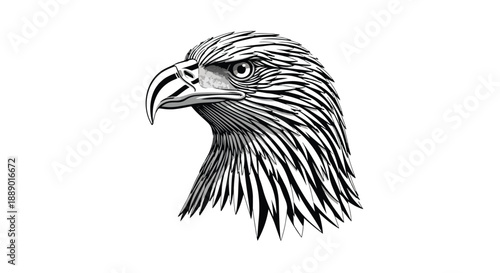 Close-up illustration of an eagle's head in profile against a white background.