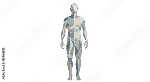 Full-body illustration of a human figure with muscular anatomy highlighted in blue and beige hues against a white background.