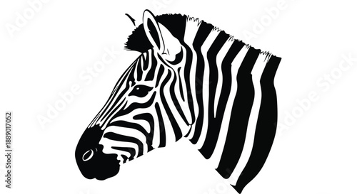 Close-up illustration of a zebra's head in black and white against a clean white background.