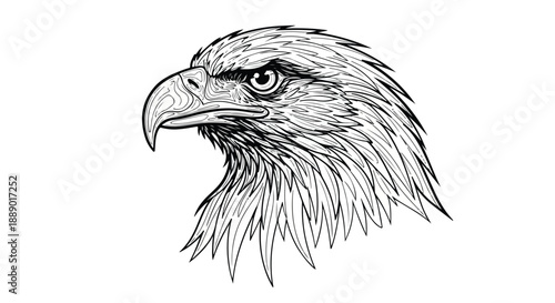 Detailed illustration of a bald eagle's head in profile with a strong gaze on a white background.
