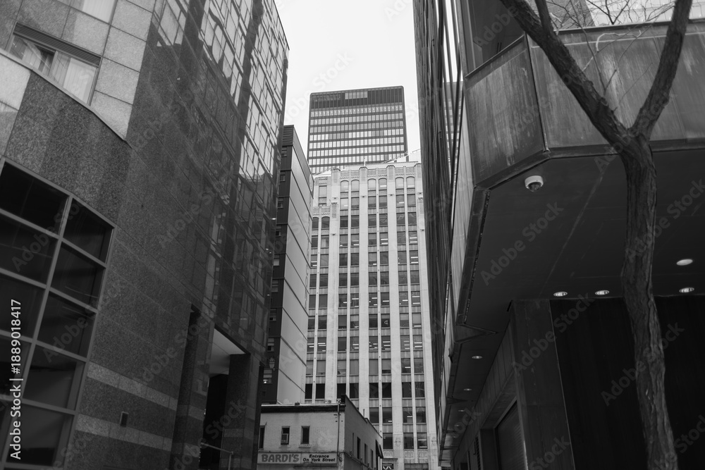 Fototapeta premium black and white view of sign outside Bardi's Steak House, Heenan Place, with historic and modern office buildings, Toronto