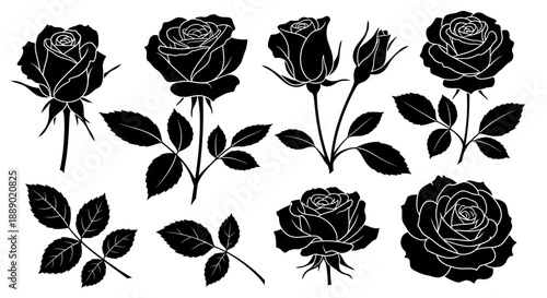 Collection of Black Silhouette Rose Flowers and Leaves, Vector Illustrations
