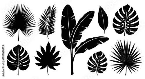Diverse Collection of Tropical Plant Leaves Silhouettes on White Background