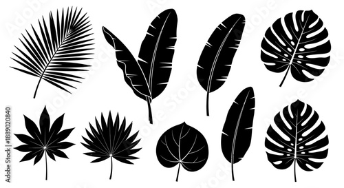 Diverse Silhouette Tropical Leaves Collection, Palm and Monstera Elements