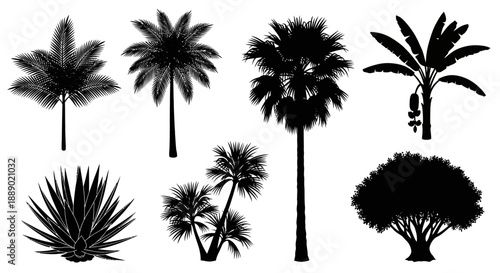 Diverse Collection of Tropical and Desert Palm Tree Silhouettes