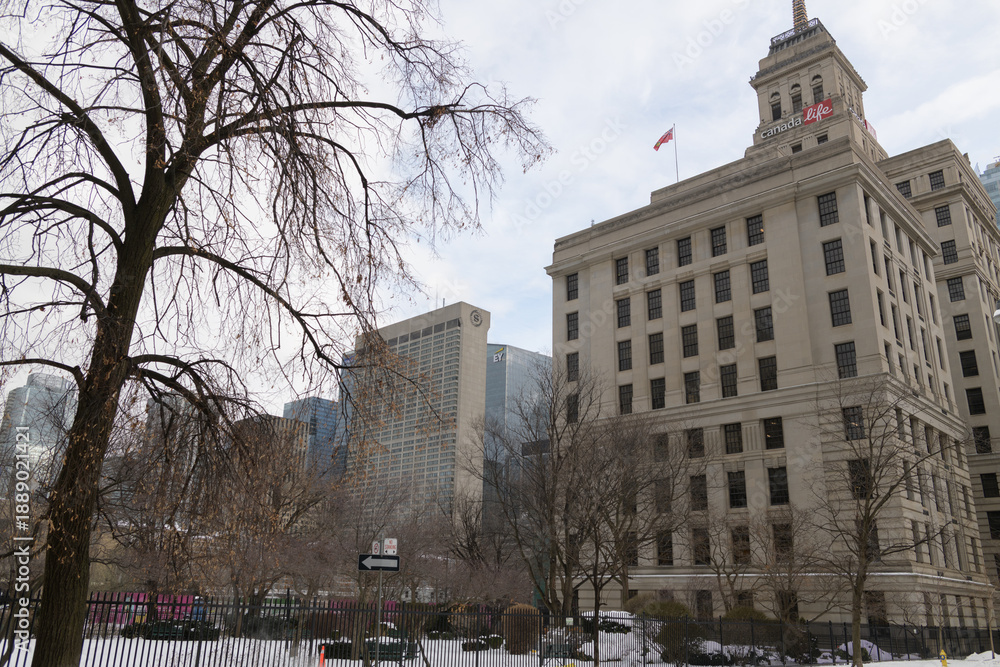 Fototapeta premium looking southeast across a green space north of Canada Life Building (1931) with tree from Simcoe St, Toronto