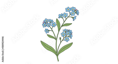 Vector Illustration of a Delicate Forget-Me-Not Flower Sprig with Blue Petals and Green Leaves