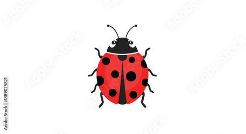 Top view illustration of a classic red ladybug with black spots on its shell shown on a white background.