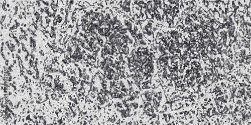 Detailed grayscale texture with a complex, organic pattern of interconnected lines and dots, offering a unique and visually rich background