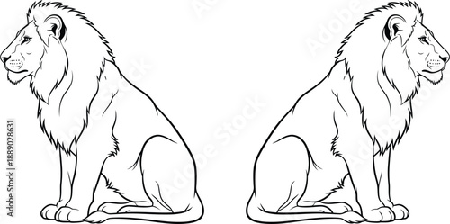 Two majestic lions sitting side by side in profile view