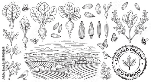 Hand drawn eco friendly organic farming and nature conservation illustration
