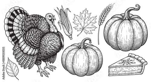 Hand drawn illustration of turkey with autumn harvest vegetables and leaves