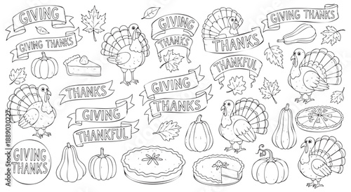 Hand drawn Thanksgiving turkeys and autumn harvest elements illustration