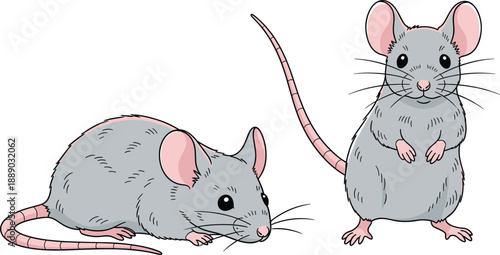 Cute cartoon mouse character vector illustration set isolated on white background