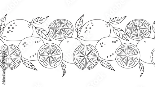 Seamless black and white line art illustration of citrus fruits, lemons and oranges, with leaves, perfect for design projects and coloring pages
