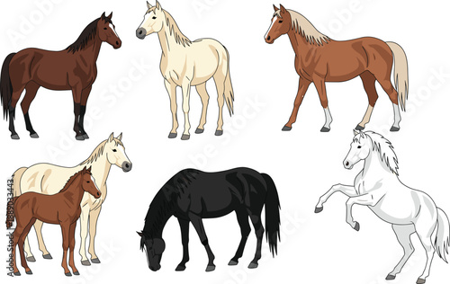 Horse breeds and poses cartoon vector set with standing, walking, grazing and jumping horses