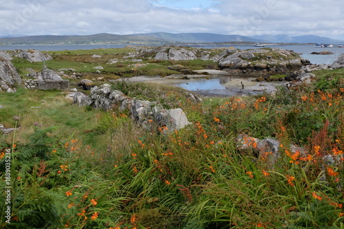 Champs, murets et landes, Connemara, Irlande