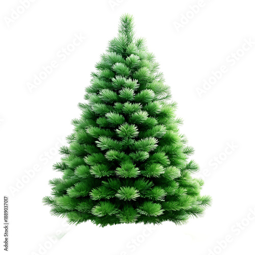 Artificial Green Christmas Tree Isolated Transparent
