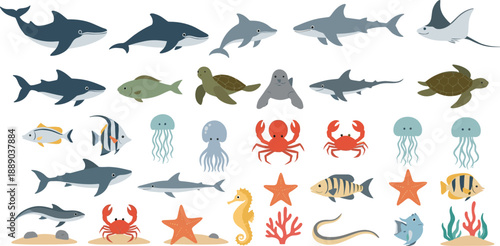 Underwater Sea Animals Vector Illustration Set with Shark, Whale, Turtle, Jellyfish, Crab, Starfish, and Marine Life Characters for Ocean Designs