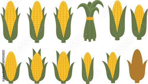 Corn Cob Vector Illustration Set with Fresh Yellow Maize Icons in Different Husk Shapes for Organic Farming, Harvest, and Food Designs